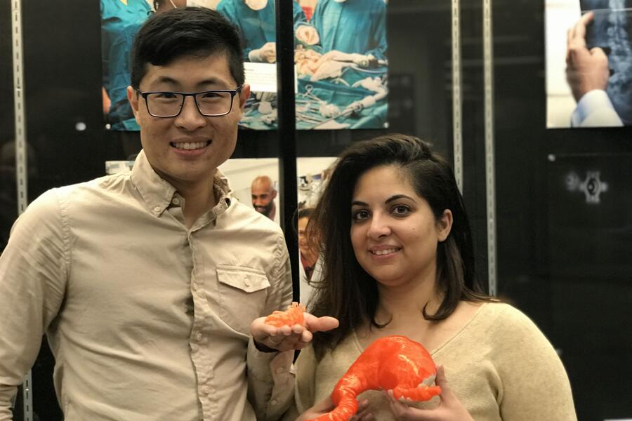 Students Tim Rappon and Nida Shahid hold models of a paediatric heart and a stomach, respectively, in front of their exhibition at the John P. Robarts Research Library. The models were created by MD/PhD candidate Amy Khan.