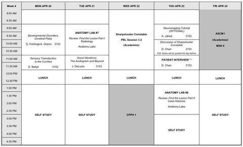 Brain and Behaviour, First Year