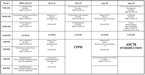 Structure and Function, First Year